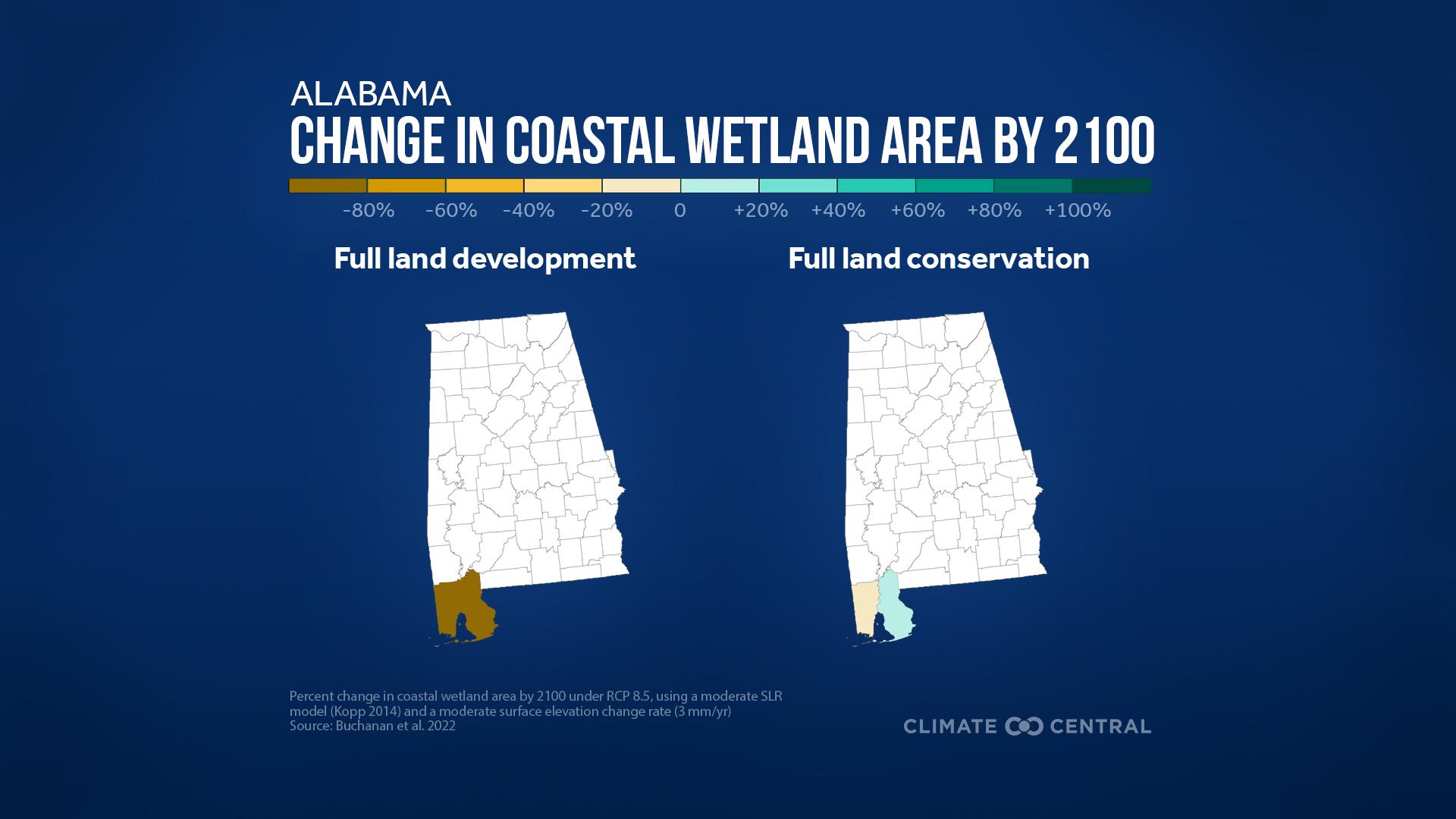 Change in Wetland Area by 2100 - Coastal Wetlands at Risk