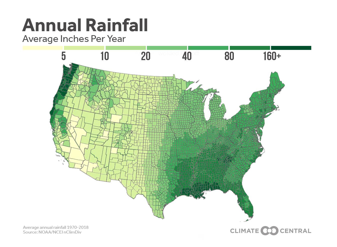 2019TreesUpdate_RainfallMap