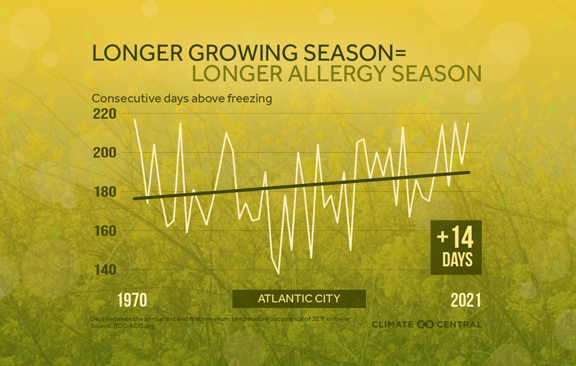 Allergy Season - Atlantic City