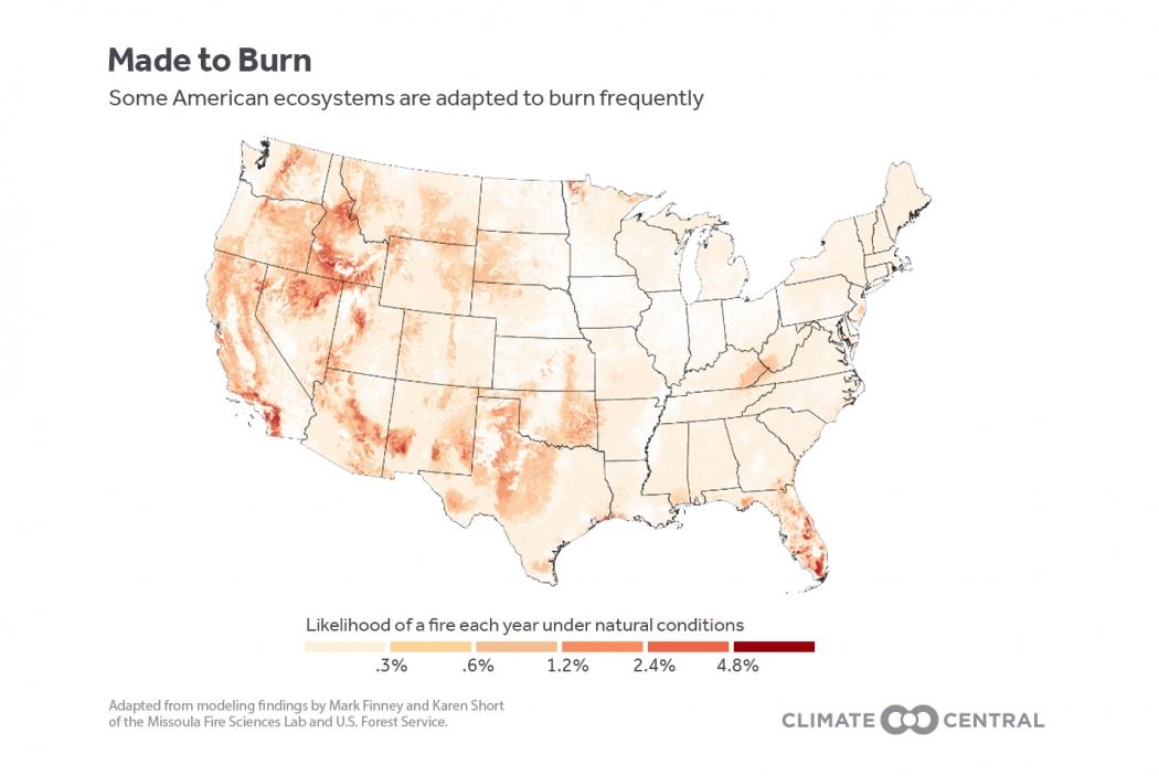 Made to Burn; SOme American ecosystems are adapted to burn frequently