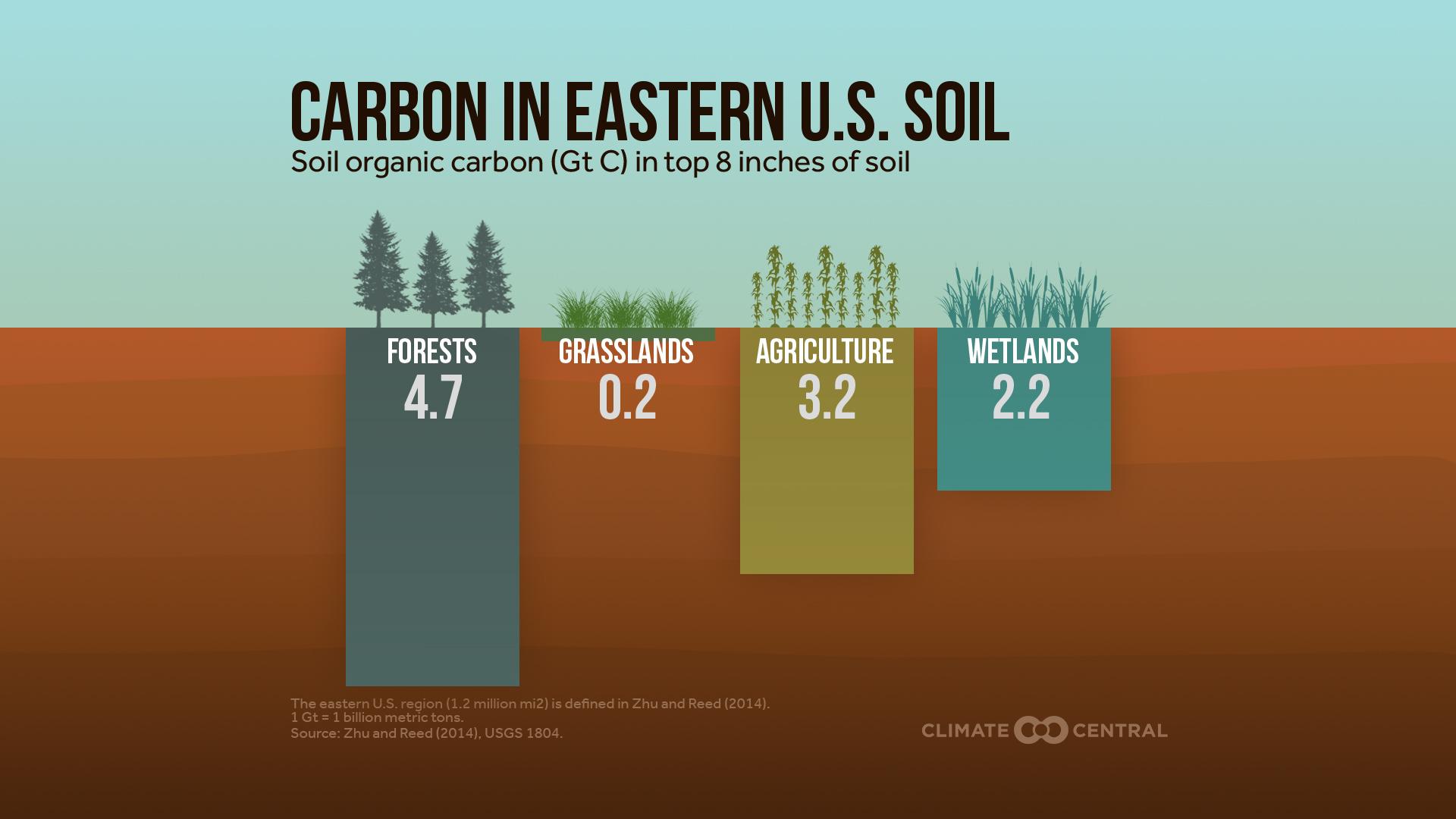 Carbon in Eastern U.S. Soil 2022 (EN)
