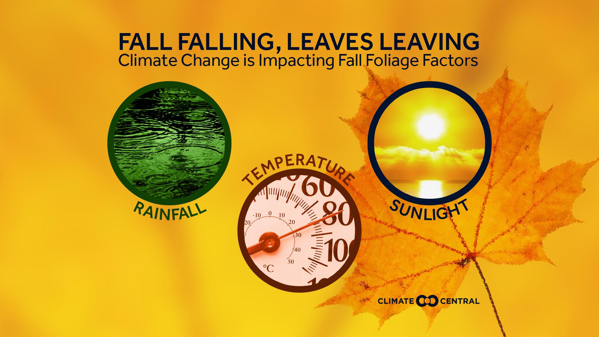 Set 1 - Fall Foliage & Climate Change