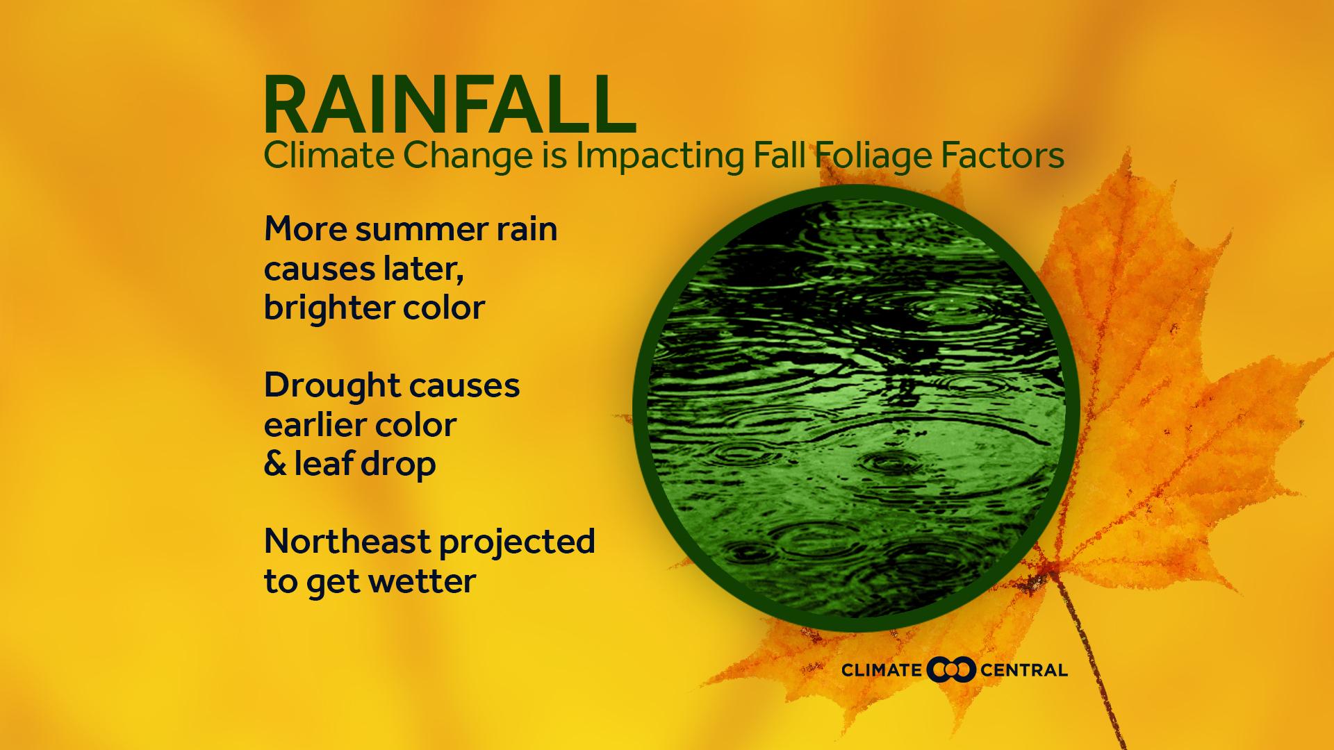 Set 5 - Fall Foliage & Climate Change
