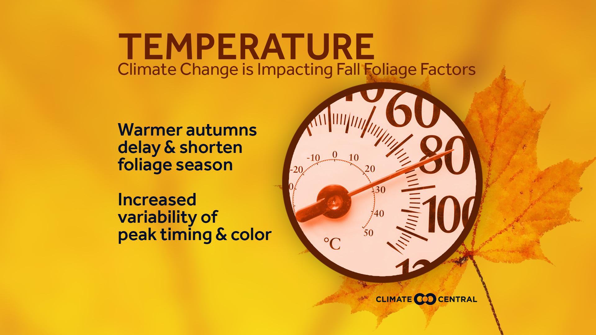 Set 6 - Fall Foliage & Climate Change