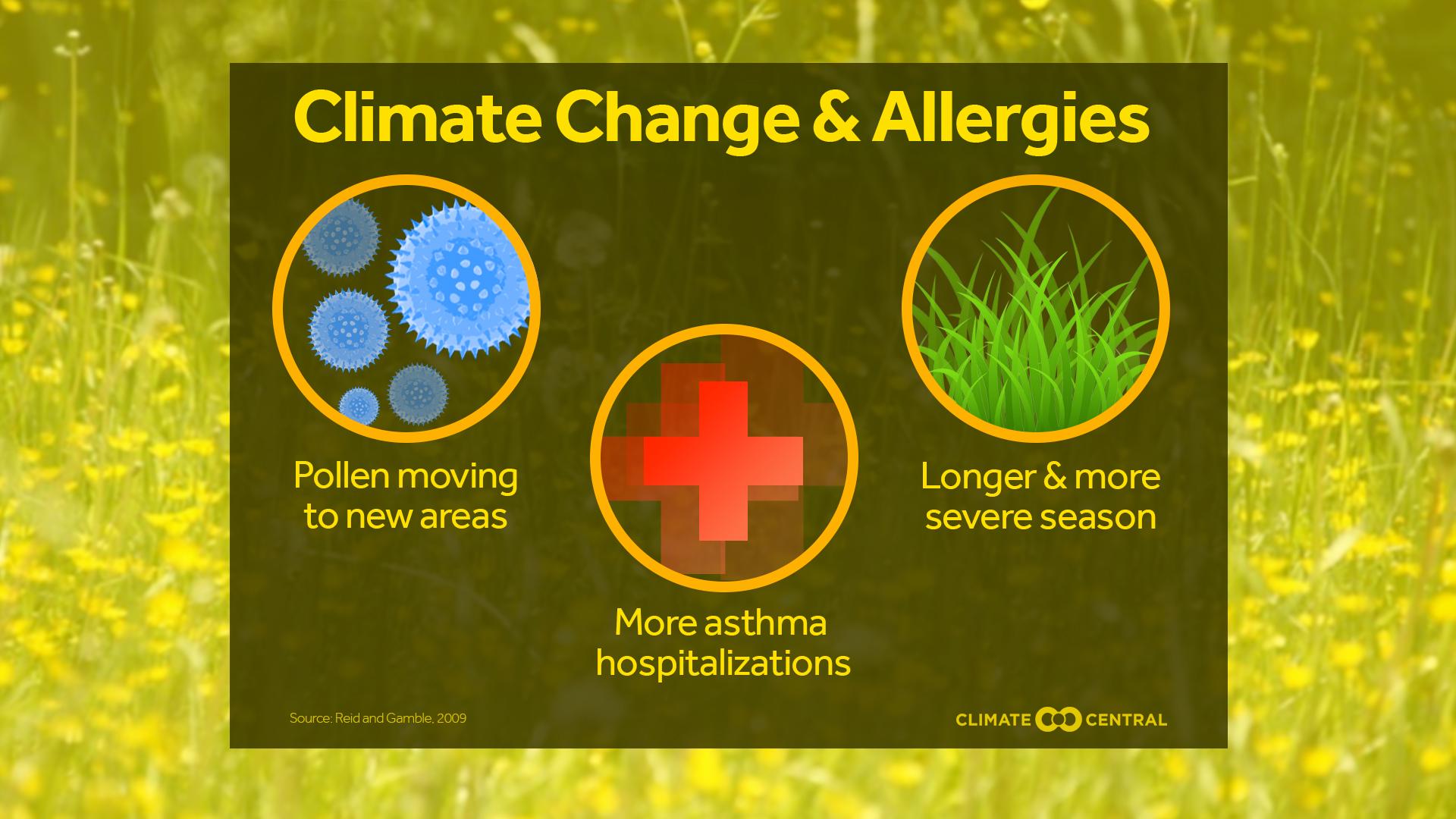 Set 1 - Allergies Ahead (Pollen)