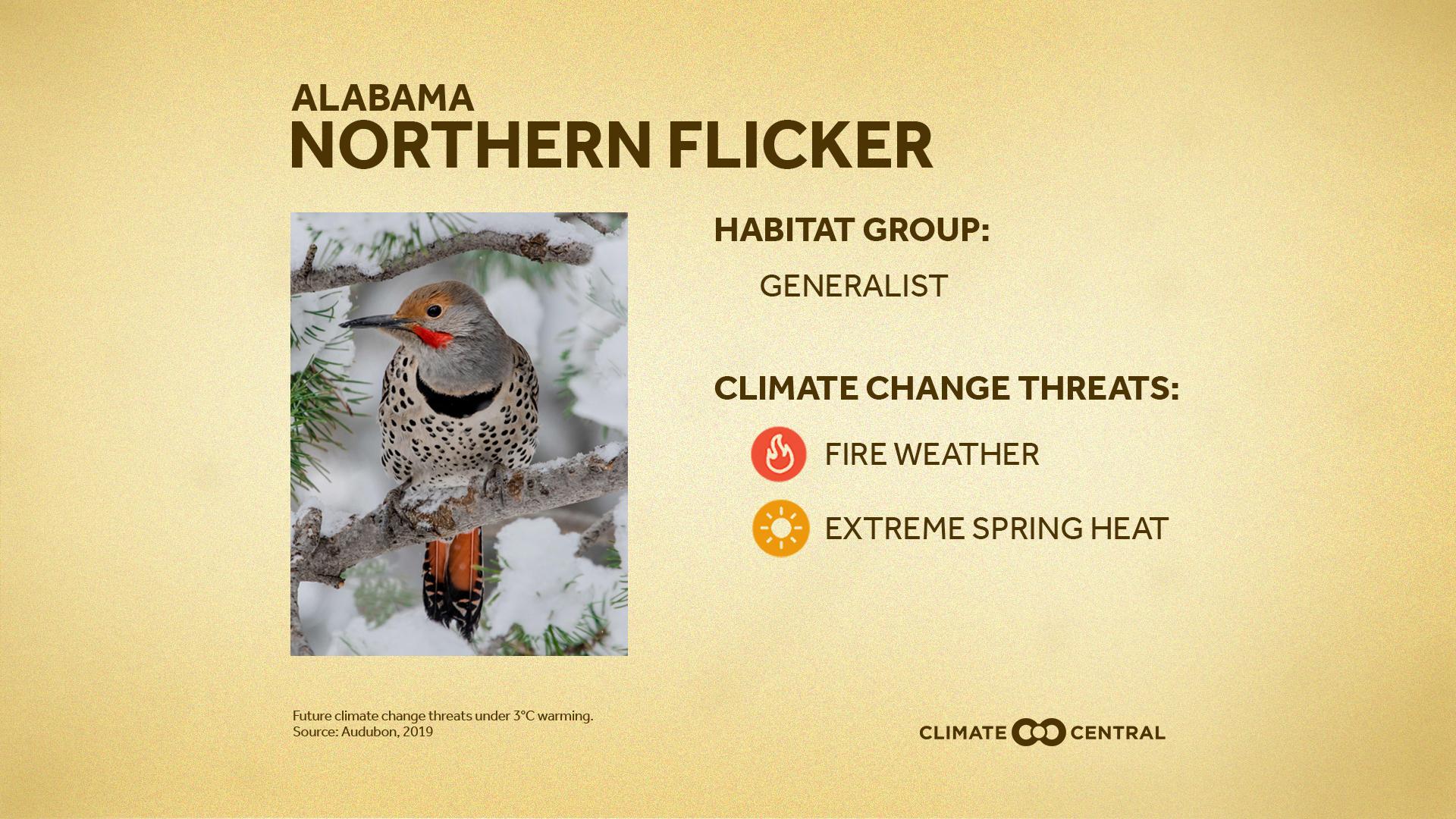 Local Graphic - Birds: Taking Flight from Climate Change