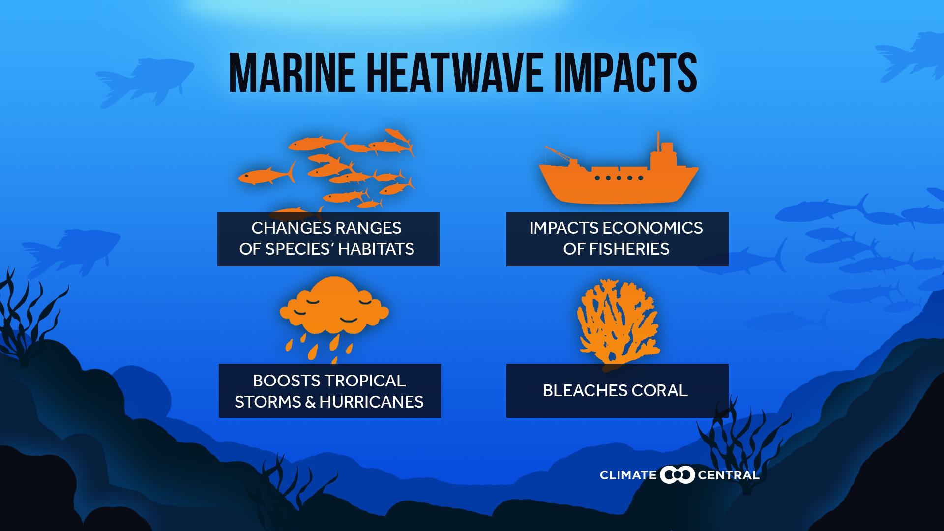 Marine Heatwave Impacts - Ocean Heatwaves
