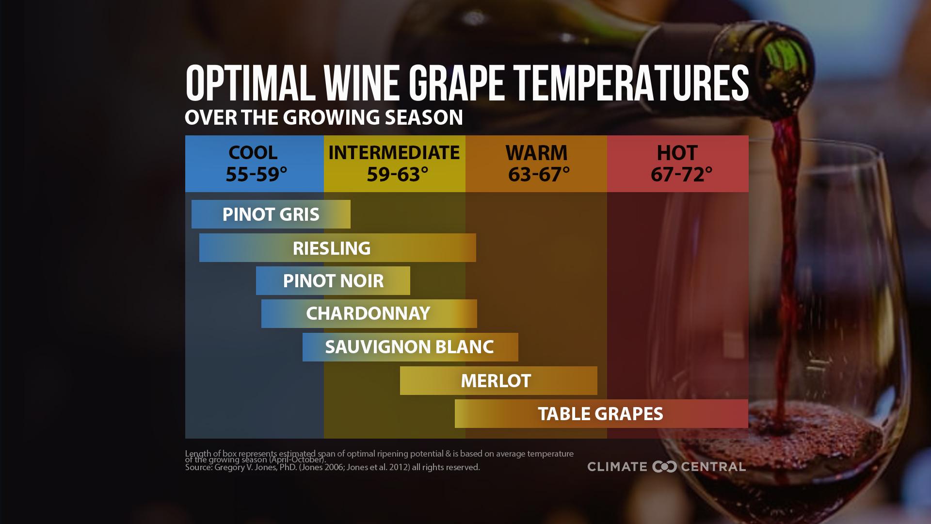 Grape Temperature Chart - Climate Change & Wine