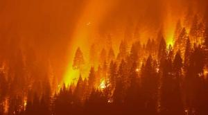 ‘We dread summers’: dangerous ‘fire weather’ days are on the rise in northern California