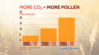 More CO2 = More Pollen