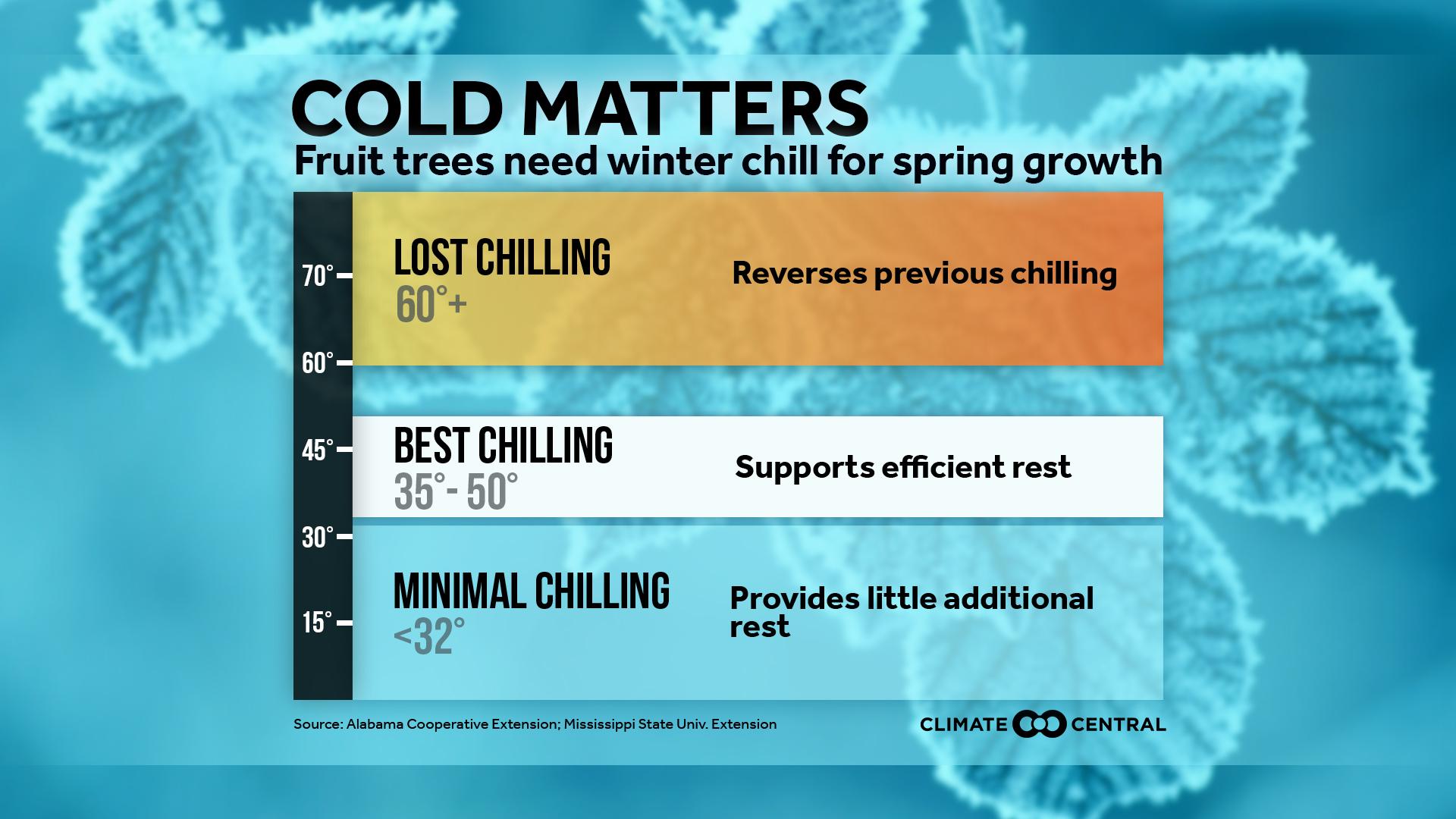 Fruit Trees Need Winter