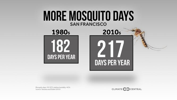 This News Bites: More Mosquito Days