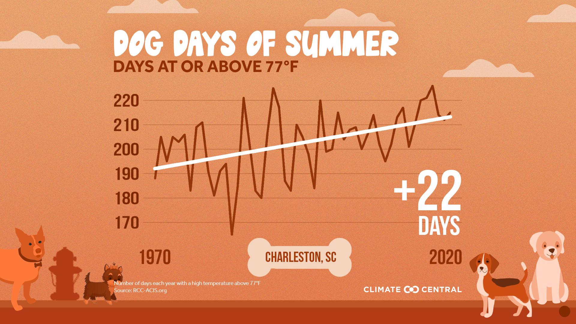 Dog Days of Summer: When Heat Endangers Pets