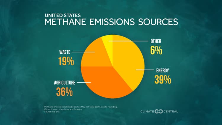 Solutions Series: Cutting Methane Emissions | Climate Central