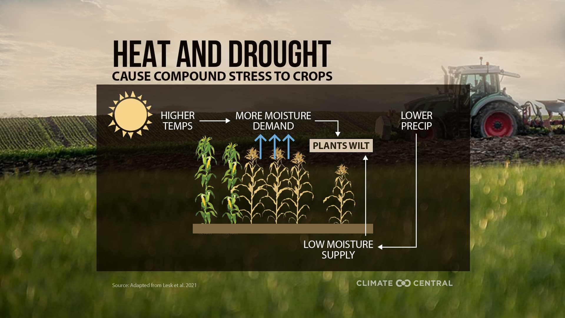 Climate Change Corn Climate Change & Crops | Climate Central